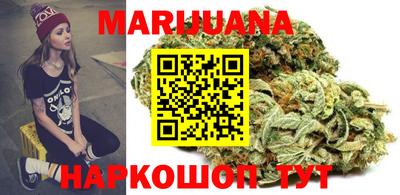 тгк Славгород