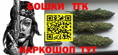 тгк Славгород