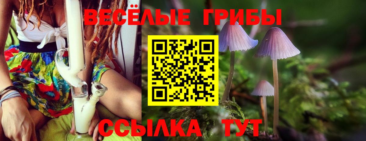 Псилоцибиновые грибы Psilocybine cubensis Ханты-Мансийск
