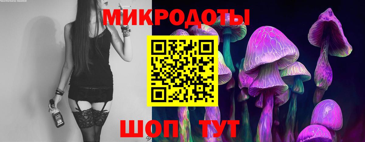 Ханты-Мансийск  продажа наркотиков  Вход с VPN  Псилоцибиновые грибы Psilocybine cubensis 
